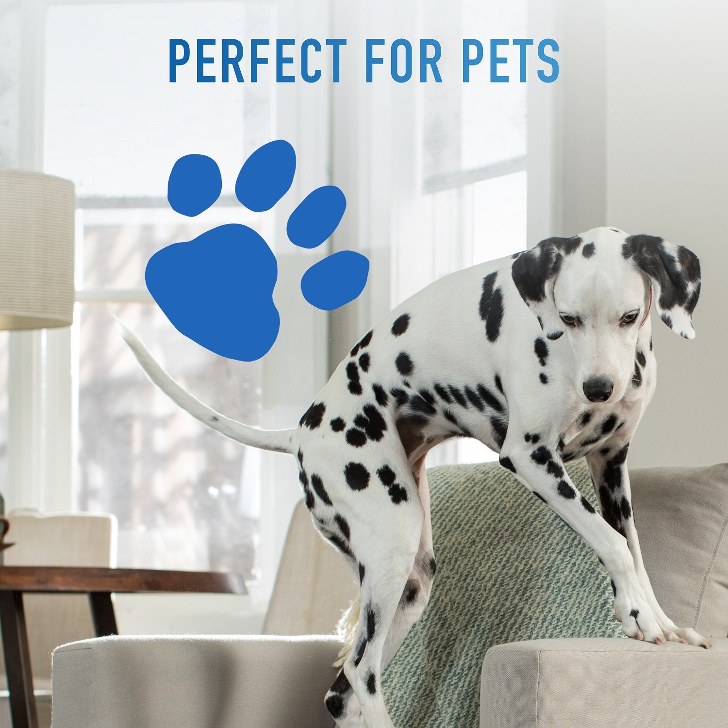 Hoover Power Dash Pet Carpet Cleaner, FH50700